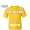 Gildan DryBlend® 50/50 Youth Short Sleeve t-shirt