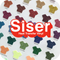Easy Glitter - 12" x 20" Sheet Siser
