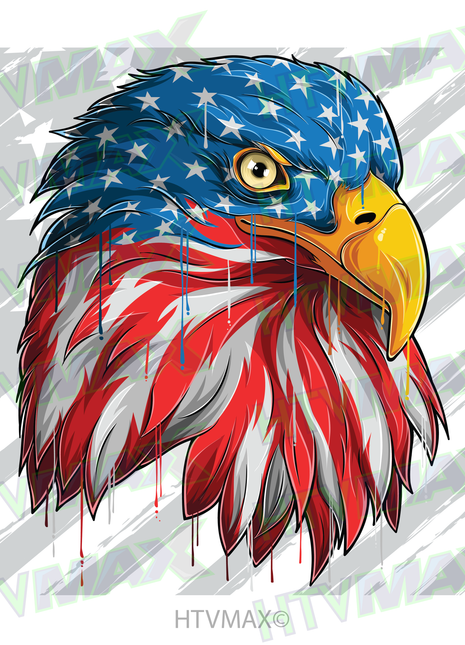 American Flag Eagle
