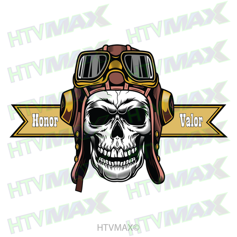 American Soldier Pilot